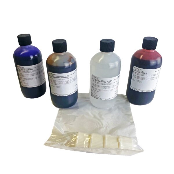 Gram Stain Kit